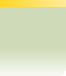 wp1e3afe6d.png