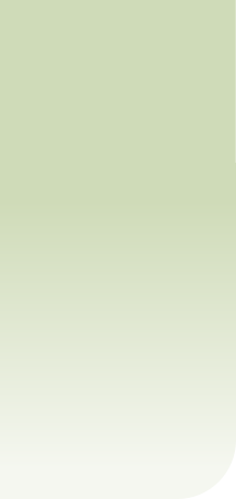 wp2d709320.png