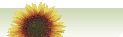 wp2fdbc74b.png