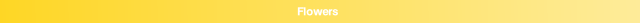 wp69f8f213.png
