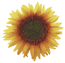 wp6d94fc7d.png