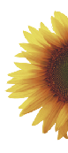 wp7440e85f.png