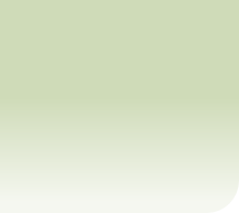 wp9747159f.png